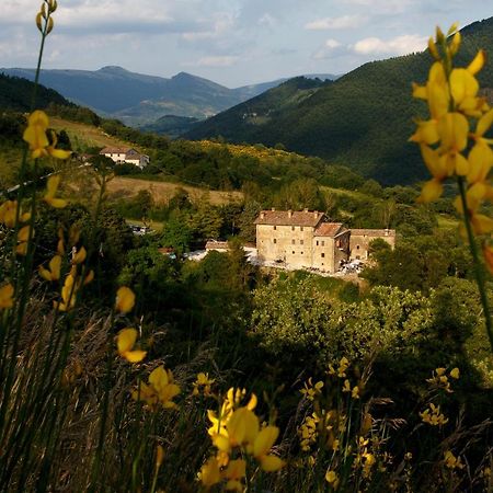 Country House Villa La Farfalla Пиетралунга Екстериор снимка