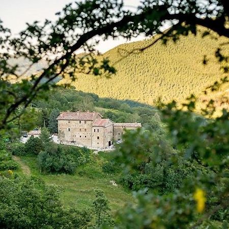 Country House Villa La Farfalla Пиетралунга Екстериор снимка